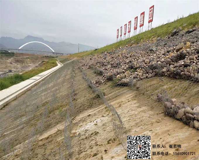 鍍高爾凡雷諾護墊